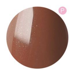 ●Dna Gel カラージェル 2.5g N40 ココアアネモネ