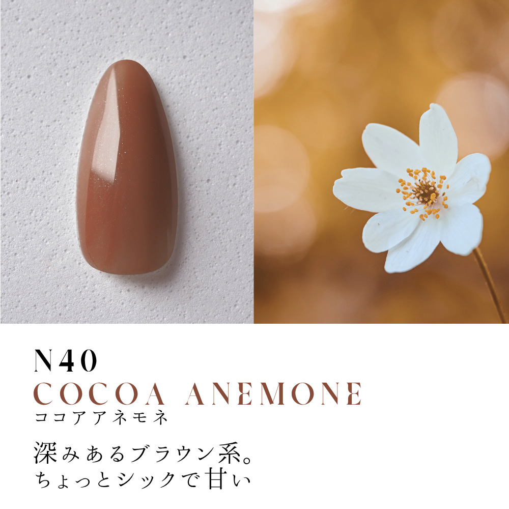 ●Dna Gel カラージェル 2.5g N40 ココアアネモネ
