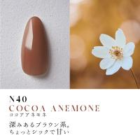 ●Dna Gel カラージェル 2.5g N40 ココアアネモネ
