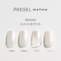PREGEL メロウ 3g PG-MEWH05G コメットホワイト