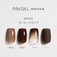 PREGEL メロウ 3g PG-MEBR04C コーヒーシロップ