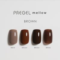 PREGEL メロウ 3g PG-MEBR04C コーヒーシロップ