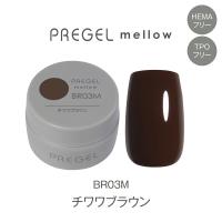 PREGEL メロウ 3g PG-MEBR03M チワワブラウン