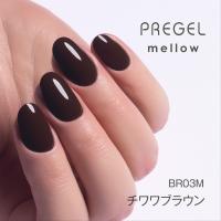 PREGEL メロウ 3g PG-MEBR03M チワワブラウン