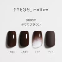 PREGEL メロウ 3g PG-MEBR03M チワワブラウン