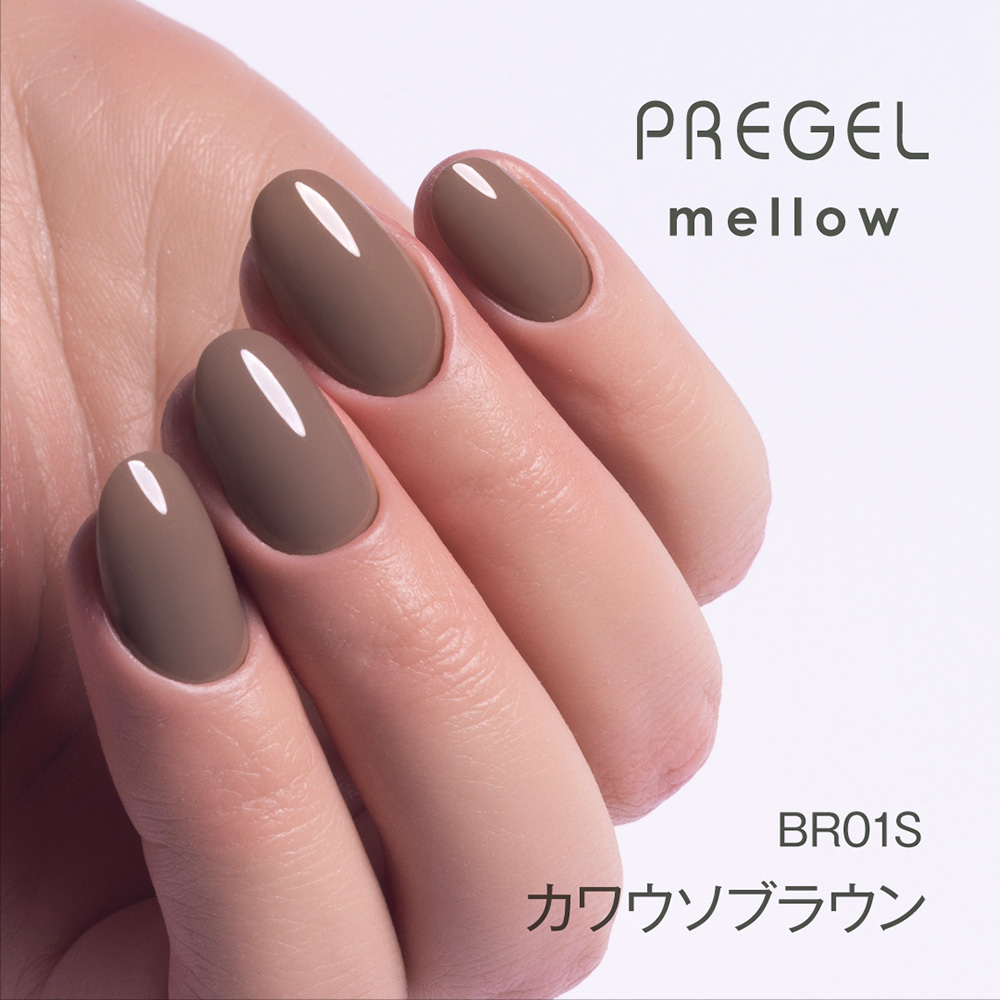PREGEL メロウ 3g PG-MEBR01S カワウソブラウン