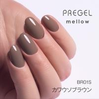 PREGEL メロウ 3g PG-MEBR01S カワウソブラウン