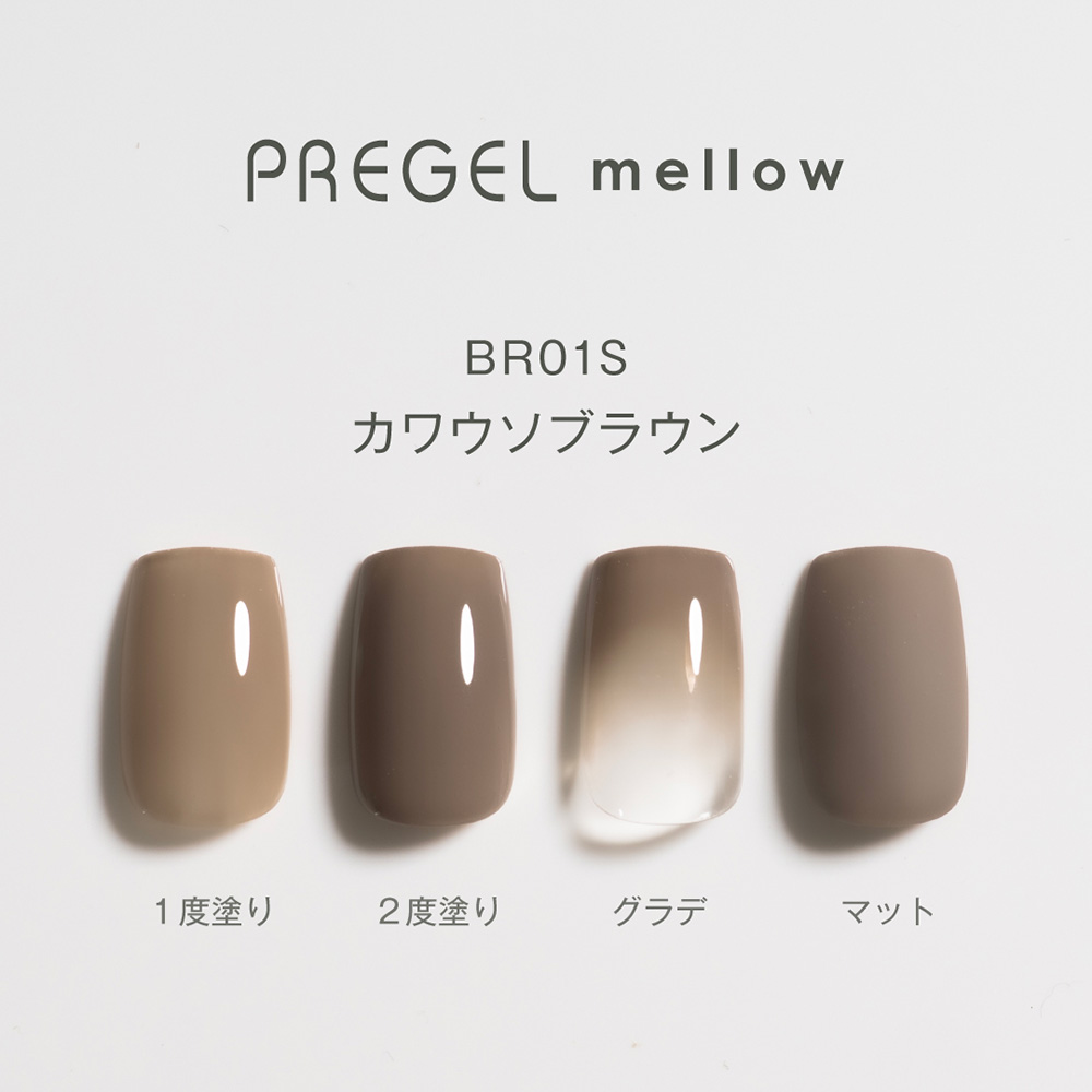 PREGEL メロウ 3g PG-MEBR01S カワウソブラウン