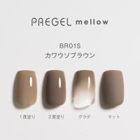 PREGEL メロウ 3g PG-MEBR01S カワウソブラウン
