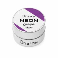 ●Dna Gel カラージェル 2.5g ネオングレープ