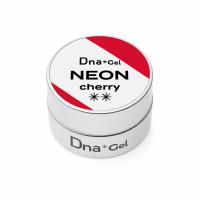 ●Dna Gel カラージェル 2.5g ネオンチェリー