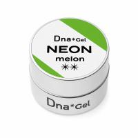 ●Dna Gel カラージェル 2.5g ネオンメロン