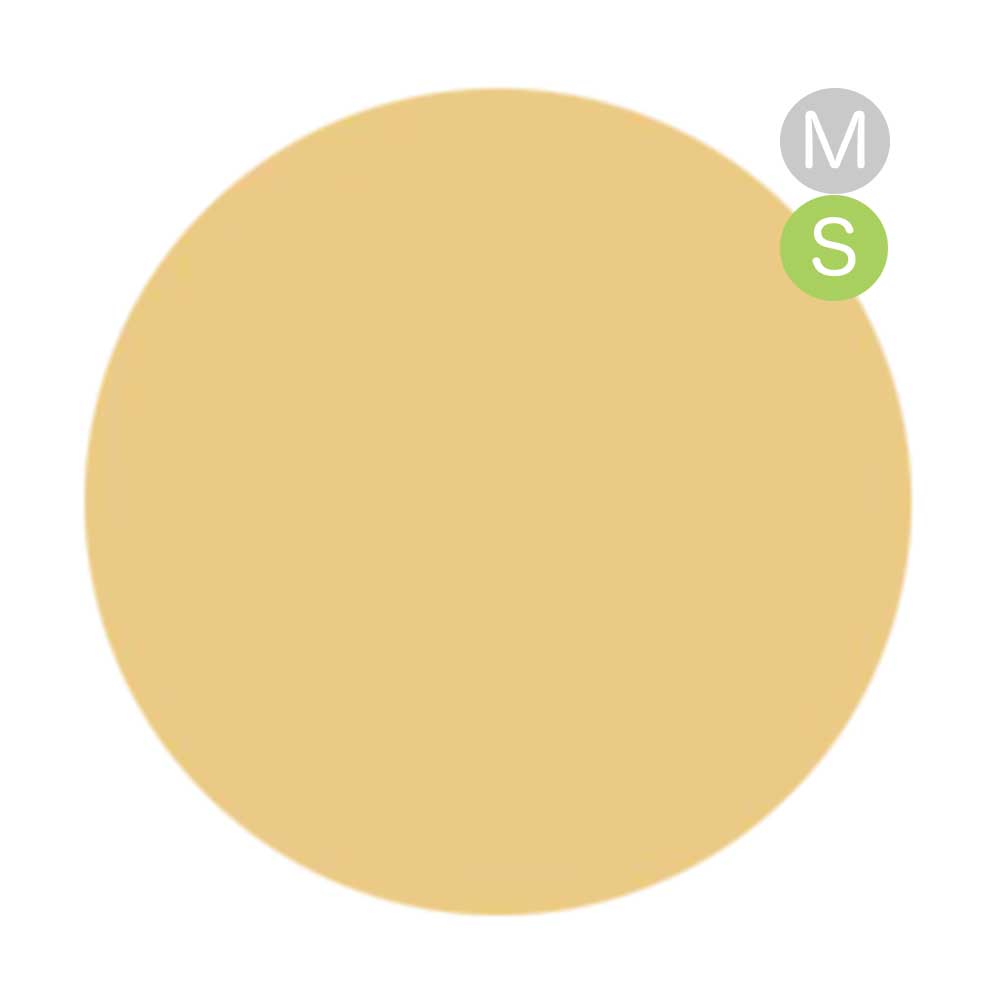 amut. カラージェル 4g ms01