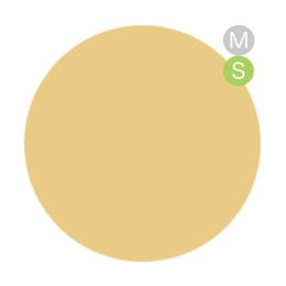 amut. カラージェル 4g ms01