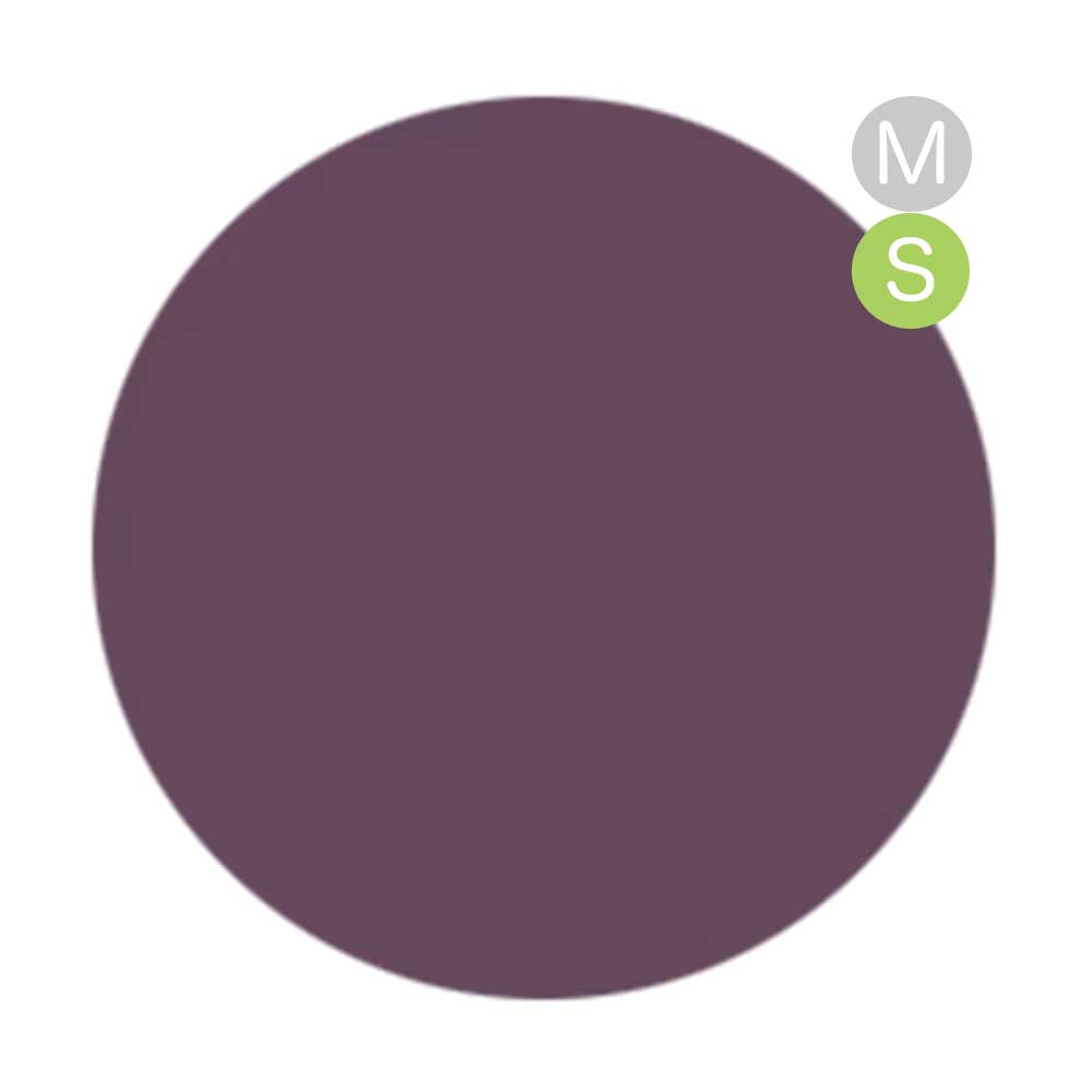 amut. カラージェル 4g ms02