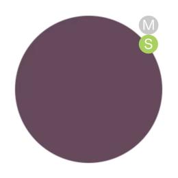 amut. カラージェル 4g ms02