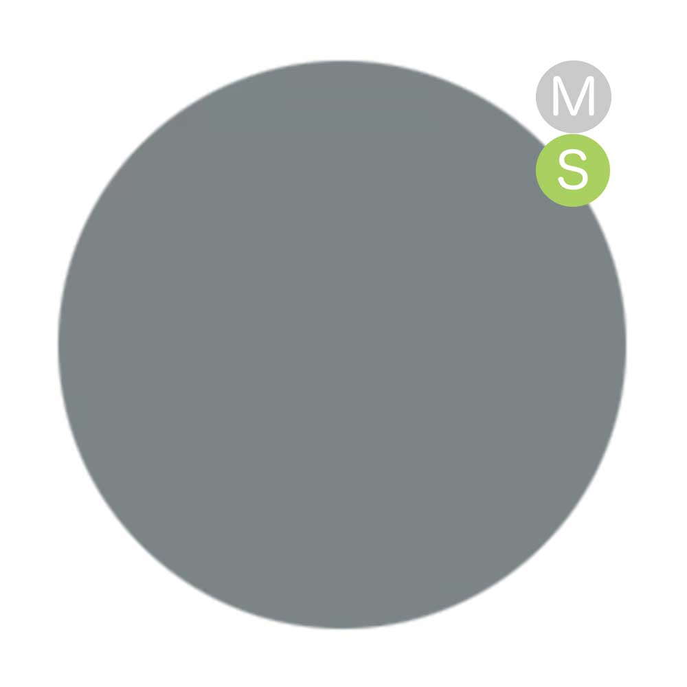 amut. カラージェル 4g ms03