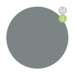 amut. カラージェル 4g ms03