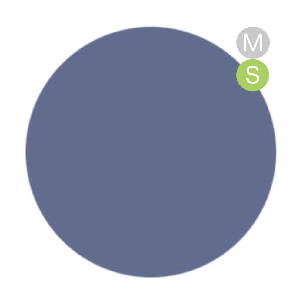 amut. カラージェル 4g ms04