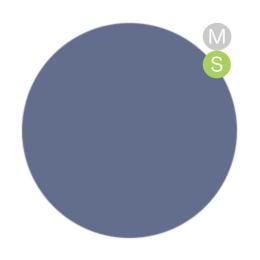 amut. カラージェル 4g ms04