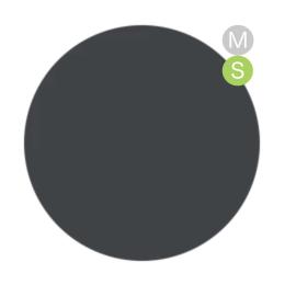 amut. カラージェル 4g ms05