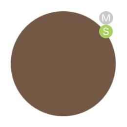 amut. カラージェル 4g ms06