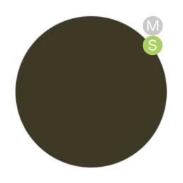 amut. カラージェル 4g ms07