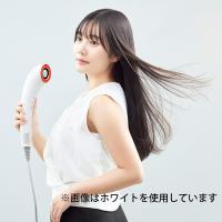 Brighte ブライト シャワードライヤー ブラック BRT-SD173