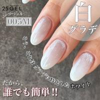 25GEL カラージェル 4g 005M/Gradation White
