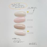 25GEL カラージェル 4g 028M/-2