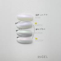 25GEL カラージェル 4g 046G