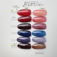 25GEL カラージェル 4g 054M/clear