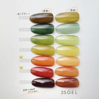 25GEL カラージェル 4g 060M/clear