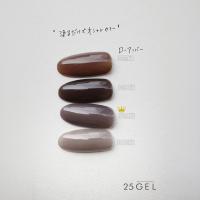 25GEL カラージェル 4g 079M