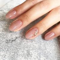 25GEL カラージェル 4g 095M/-1