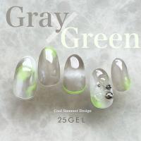 25GEL カラージェル 4g 099M/clear