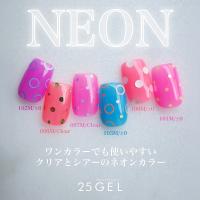 25GEL カラージェル 4g 102M/±0