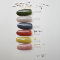 25GEL カラージェル 4g 116M/-1