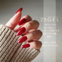 25GEL カラージェル 4g 131M/+1