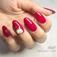 25GEL カラージェル 4g 132M/+2