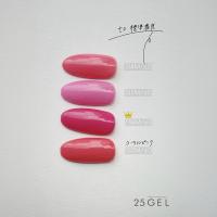 25GEL カラージェル 4g 137M/±0