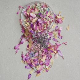 ‘ohana エバーラスティング フラワー 04 #8672