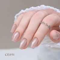 ARTIS di Voce ブラッシュオンカラージェル 8g CE051