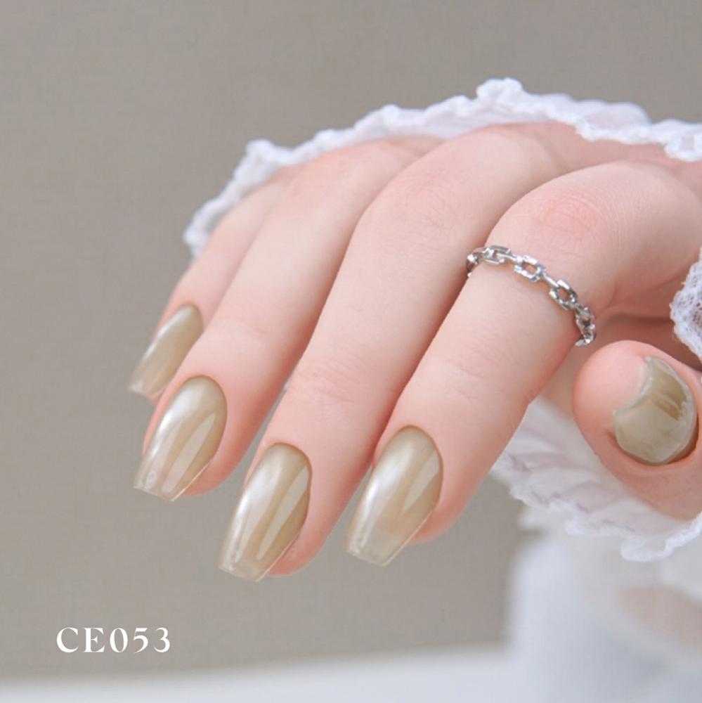 ARTIS di Voce ブラッシュオンカラージェル 8g CE053