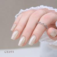 ARTIS di Voce ブラッシュオンカラージェル 8g CE055
