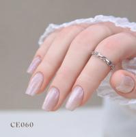 ARTIS di Voce ブラッシュオンカラージェル 8g CE060