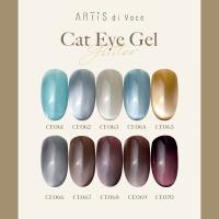 ARTIS di Voce ブラッシュオンカラージェル 8g CE070