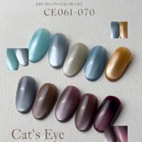 ARTIS di Voce ブラッシュオンカラージェル 8g CE070