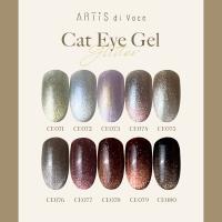 ARTIS di Voce ブラッシュオンカラージェル 8g CE072