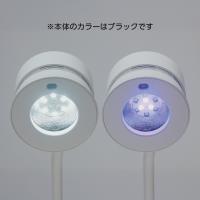 KUPA MANIPro マニプロ デュエット ランプ ブラック